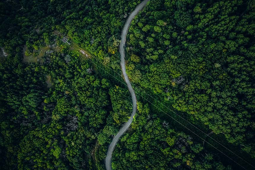 Fotografía aérea de una Carretera que cruza por medio de un bosque verde