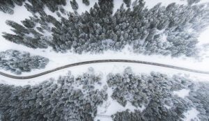 Fotografía aérea de un bosque de pinos nevado y una carretera que cruza