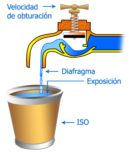 La Metáfora del Vaso de Agua